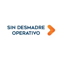 Sin Desmadre Operativo logo - Similar company to Regents Remote Services