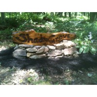 Shady Grove Botanicals logo - Similar company to Appsential