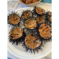 XXX logo - Similar company to Basement Eleven