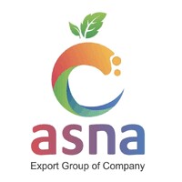 ASNA EXPORT GROUP logo - Similar company to The Ally Traders