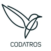 Codatros logo - Similar company to Brainstork