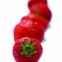 Happaz Food & Catering logo - Similar company to De Smaakmakerij