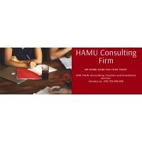 HAMU Consulting Firm logo - Similar company to Kalandy Consulting