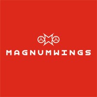 MAGNUMWINGS logo - Similar company to King's Developers & Infrastructure