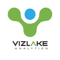 Vizlake Analytics logo - Similar company to Sqlera