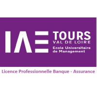 Licence Pro Banque & Assurance - IAE de Tours logo - Similar company to Licence Pro Fodipa (Formulation Et Développement Industriel De Produits Alimentaires)
