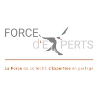 Force d'Experts logo - Similar company to Ciklea