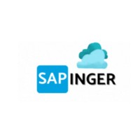 SAPINGER TECHNOLOGIES logo - Similar company to Dex N Devs