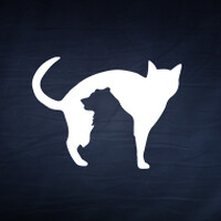 Sozo Bear Films logo - Similar company to Bluestar Studios