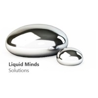 LiquidMinds Solutions logo - Similar company to Vertigo Studio