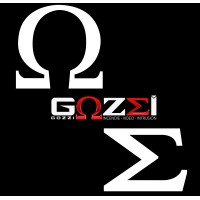 INTRUSION GOZZI SECURITE logo - Similar company to Gozzi Protection