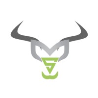 Social Media Bull (SM-Bull) logo - Similar company to Impact Digital