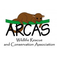 Wildlife Rescue And Conservation Association