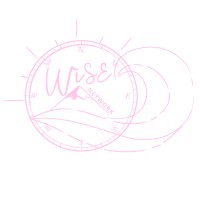 Wise (Women in Surveying Empowerment) Network logo - Similar company to Integration Group Pty Ltd