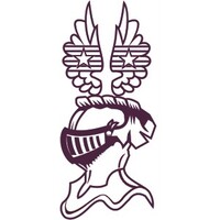 Copperman logo - Similar company to Truspine Technologies Plc