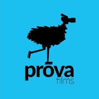 PROVA FILMS logo - Similar company to Senses