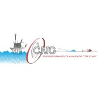 CNG Business Development & Management Consultancy logo - Similar company to Aibetic