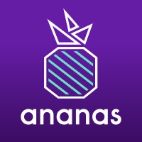 Ananas B.V. logo - Similar company to Vidsue
