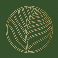 Instituto Mia Vita logo - Similar company to Cufa  Df