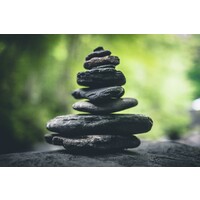 Wealth Cairn logo - Similar company to Sequoia Wealth Advisors