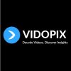 Vidopix logo - Similar company to Intellimark Ai