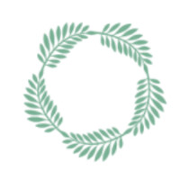 5 Palms, Inc