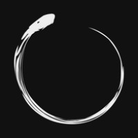 Invictus Technology Solutions logo - Similar company to Star Shine