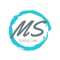 MS CONSULTING logo - Similar company to Sprint Rh