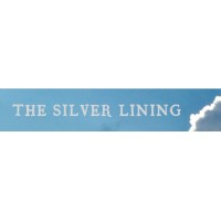 The Silver Lining logo - Similar company to The Silver Lining Group
