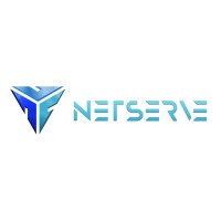 Netserve logo - Similar company to Netserv