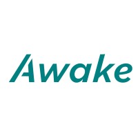 Awake logo - Similar company to Net4Talent