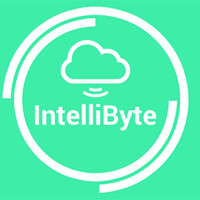 IntelliByte Ltd logo - Similar company to Dream Garage Auctions Ltd