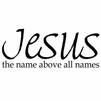Jesus Seeds logo - Similar company to Sbworldwide