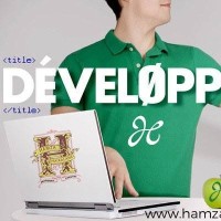 développeur freelancer logo - Similar company to Ys Design | Infographiste & Développeur Web Spécialisée Wordpress