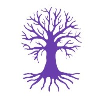 Saday Wellness logo - Similar company to Sujavfoundation
