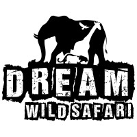 Dream Wild Safari logo - Similar company to Great Digital Academy