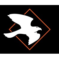 FalconSnap logo - Similar company to Paradynamix