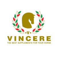 Integratori Vincere logo - Similar company to Brucomele, Il Signore Dei Giocattoli