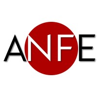 ANFE Consulting logo - Similar company to Resionex Consulting