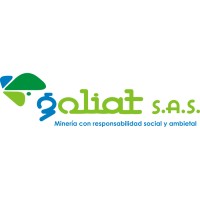 GOLIAT S.A.S logo - Similar company to Geotec Integral