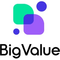 빅밸류(BigValue) logo - Similar company to Spirink
