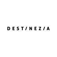 Destinezia logo - Similar company to G.S.T