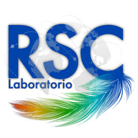 RSC LAB: El Laboratorio de la RSC logo - Similar company to Laboratorio Clínico En Elche Laboratorios Sorte.