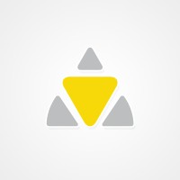 Brand Guru Insights Pvt Ltd logo - Similar company to Coinioc Trading Solution