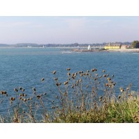 Terapi & Supervision logo - Similar company to Terapia