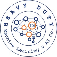 TDI-India logo - Similar company to Medallion Technologies