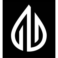QLU logo - Similar company to Lootus