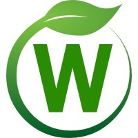Web Stalk Media
