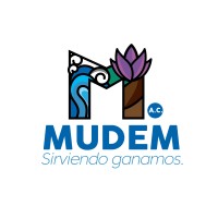 MUDEM logo - Similar company to Mudem Panel