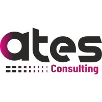 ATES Consulting Private Limited logo - Similar company to Crossbuffer Pvt Ltd